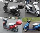 Motorroller 50ccm 599Euro NEU